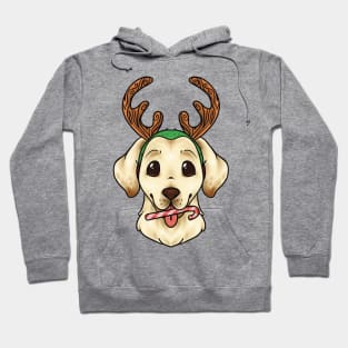 Christmas Yellow Labrador Retriever Dog Hoodie